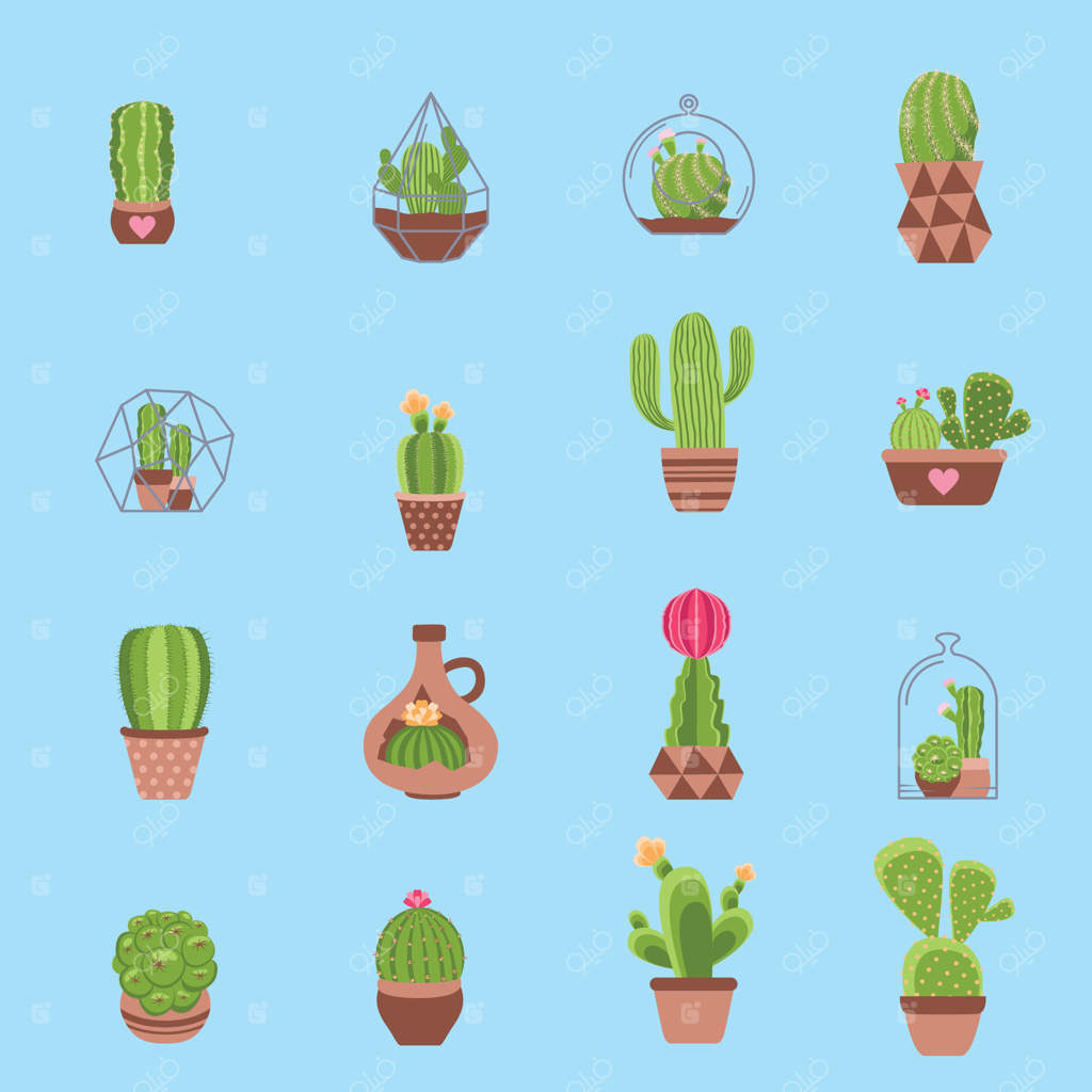 پترن جدید کاکتوس یکپارچه: مجموعه‌ای از ساکولنت‌های شکوفا. پس‌زمینه شیک با نمادهای گیاهان سبز مدرن، طبیعت بیابانی، گل‌های استوایی، باغ خانگی کاکتوس و تصویرسازی‌های گیاه‌شناسی وحشی.