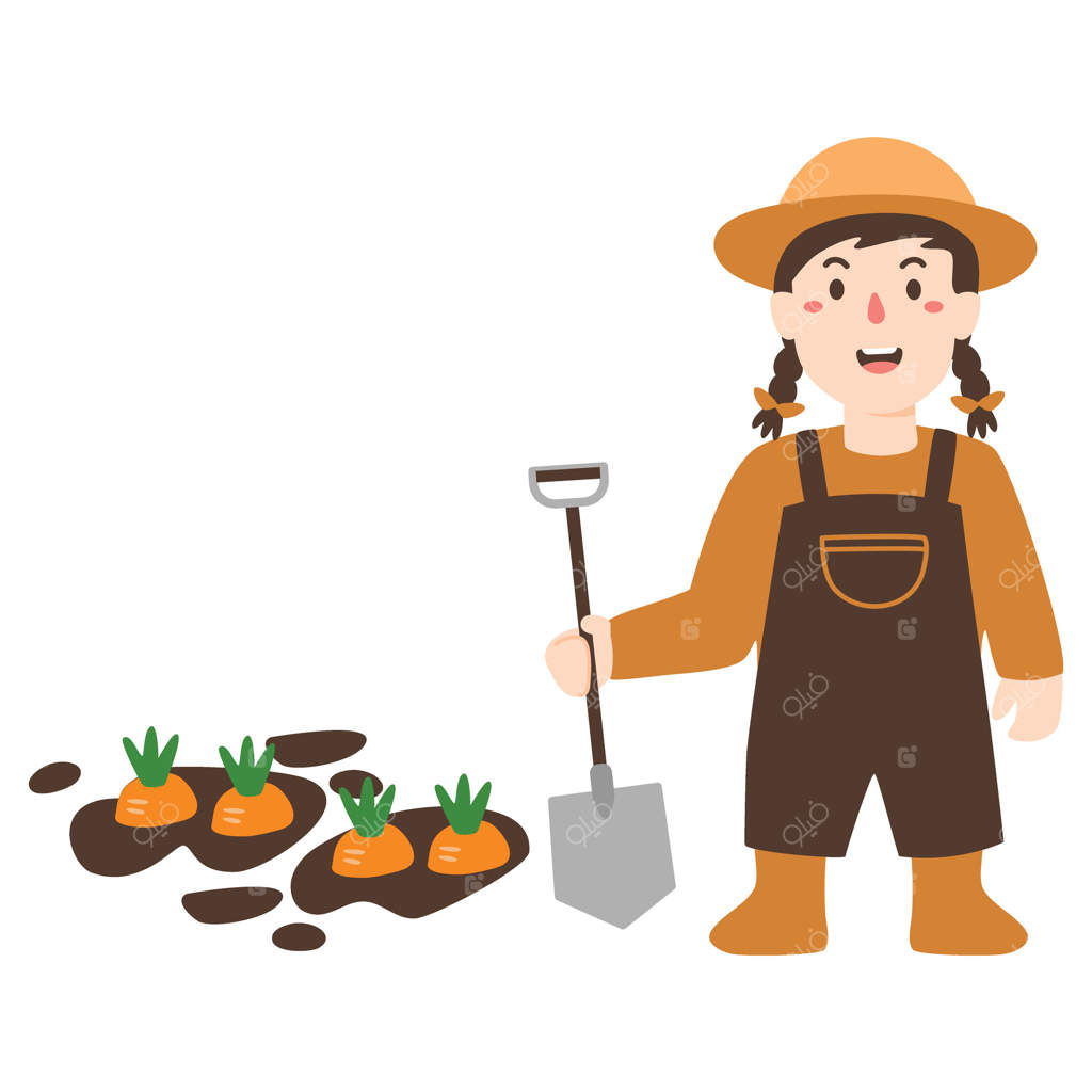 دختر بچه کشاورز در حال برداشت هویج از باغچه