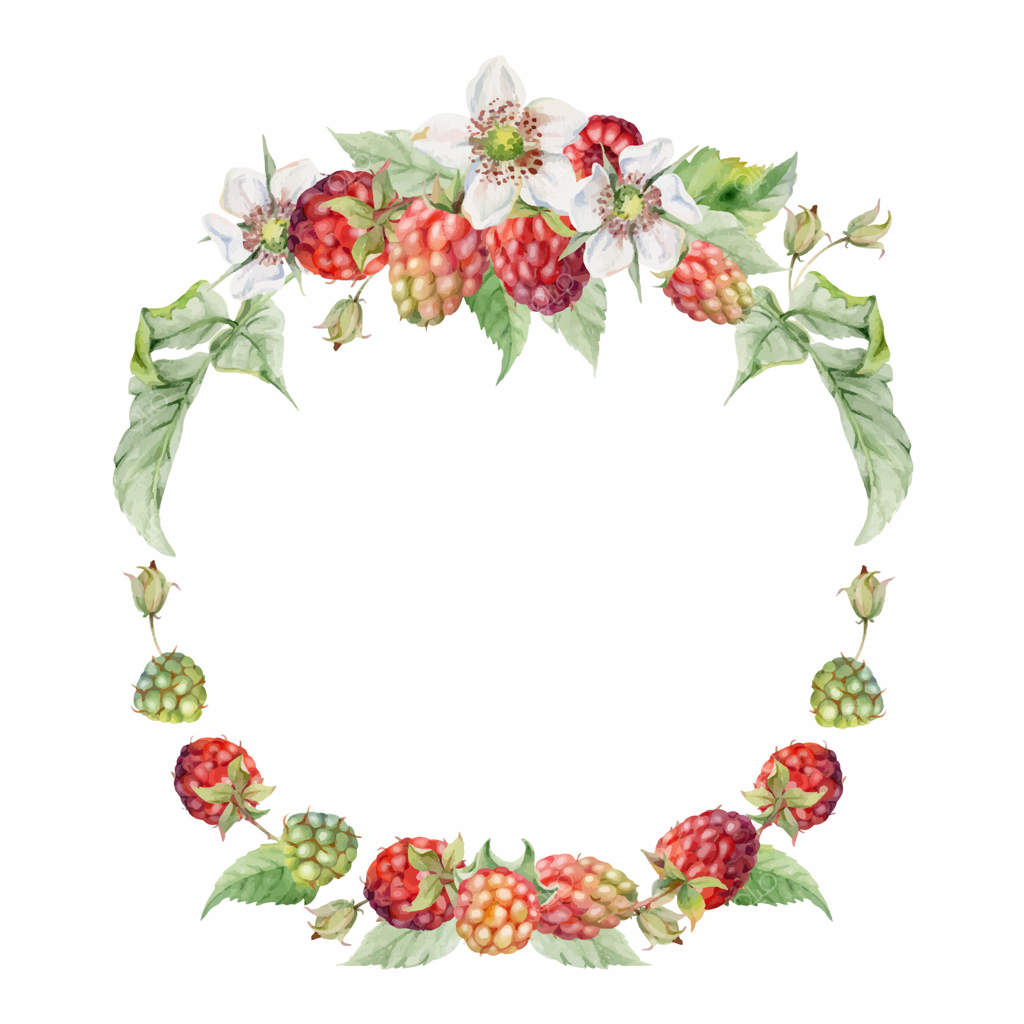 تاج گل توت‌های باغ رسیده با جوانه‌ گل‌ها و برگ‌ها، طراحی شده با آبرنگ. شامل توت، توت سفید، شاه‌توت، و لوگان‌بری و تای‌بری. تصویر دایره‌ای جدا، مناسب برای کارت عروسی و فروشگاه گل‌فروشی.