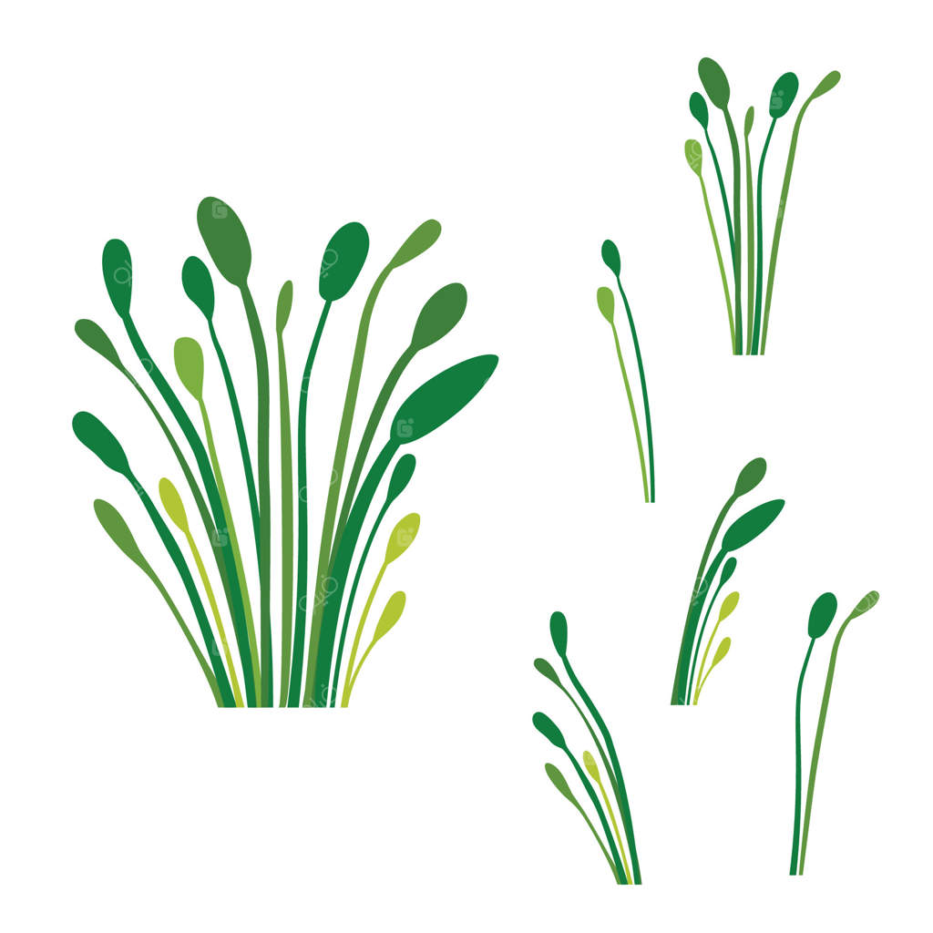 عناصر سبز برگ‌های استوایی تازه و گیاهان باغ پارک