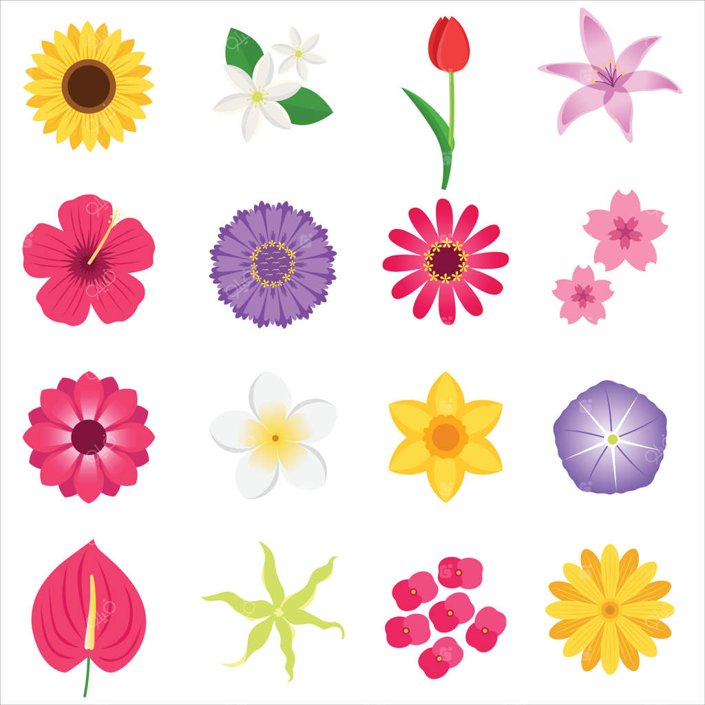 مجموعه‌ای رنگارنگ از ۱۶ گل متنوع، مناسب برای علاقه‌مندان به گل‌ها، باغبانان، عاشقان طبیعت، گیاه‌شناسان و طراحان کارت تبریک.