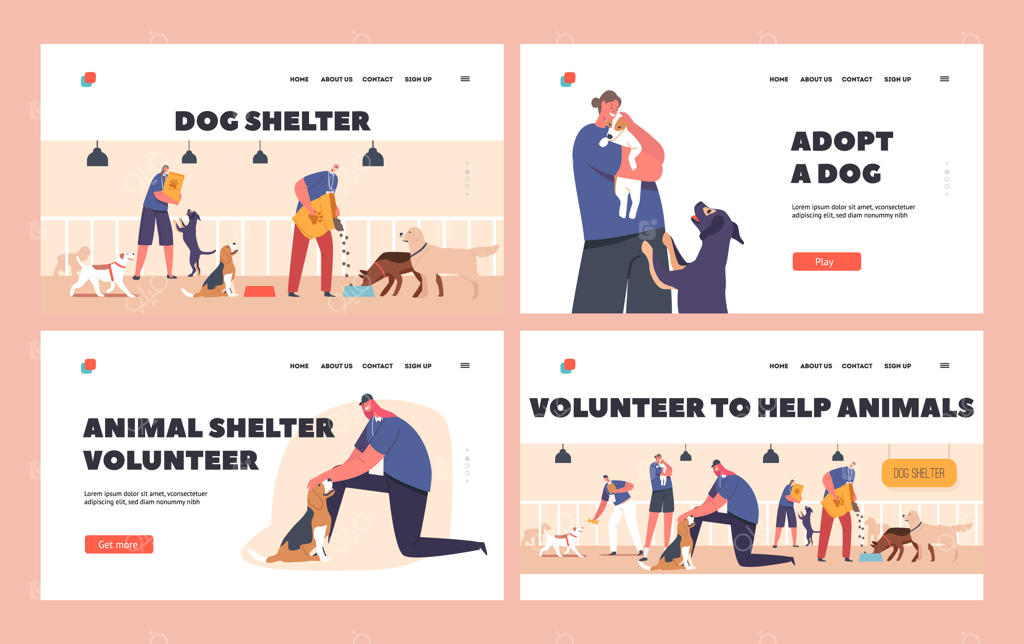 پترن صفحه فرود داوطلبان برای کمک به حیوانات: پناهگاه، مرکز بازپروری یا سرپرستی برای حیوانات بی‌سرپناه