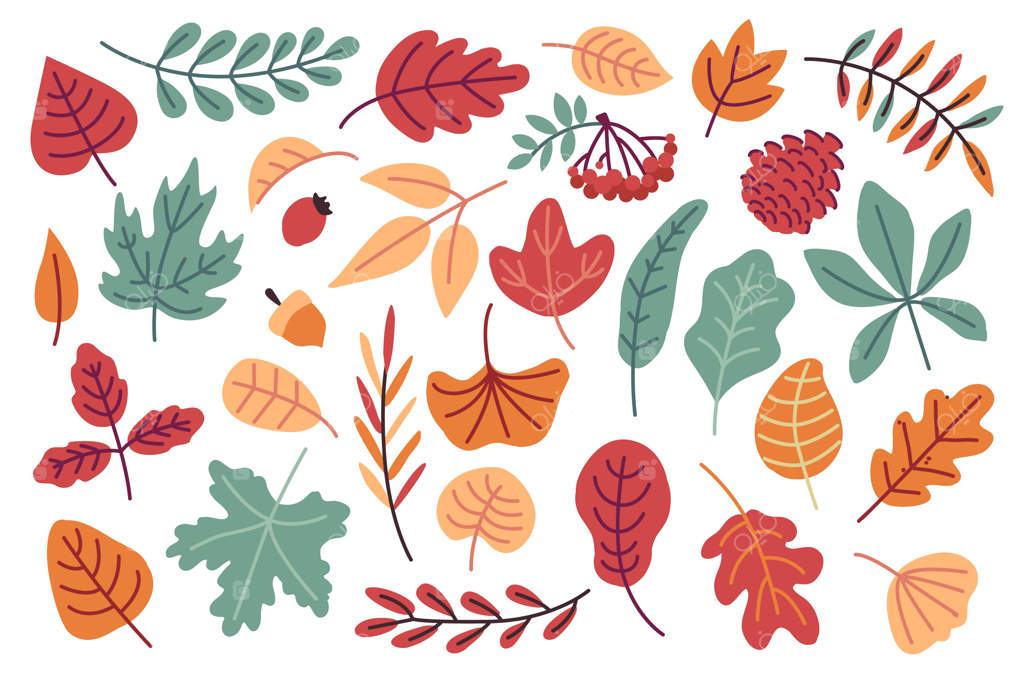 مجموعه‌ای از برگ‌های پاییزی: قرمز، نارنجی، زرد و قهوه‌ای، همراه با دانه‌ها، بلوط و میوه‌های جنگلی - طرح فلت جنگل شامل برگ‌های بلوط، راش، افرا و شاه‌بلوط