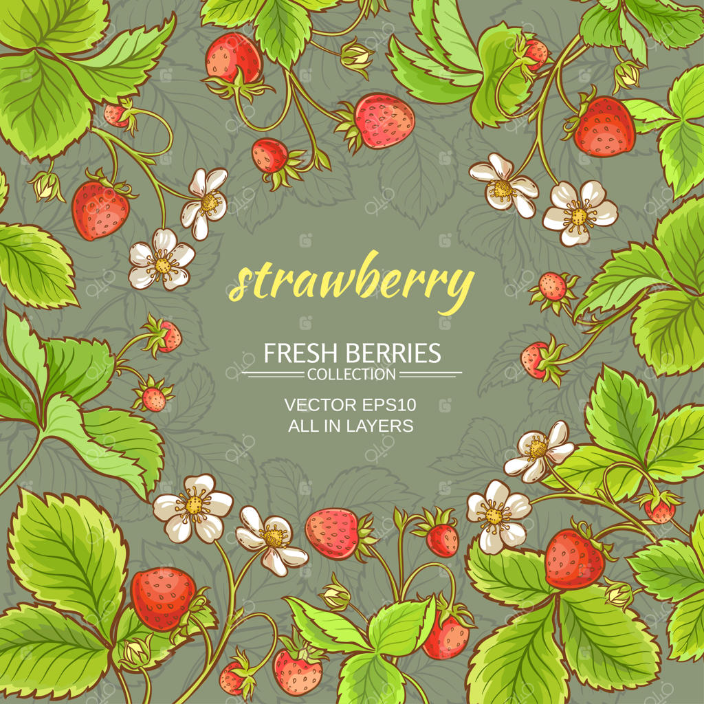 قاب طرح توت‌فرنگی