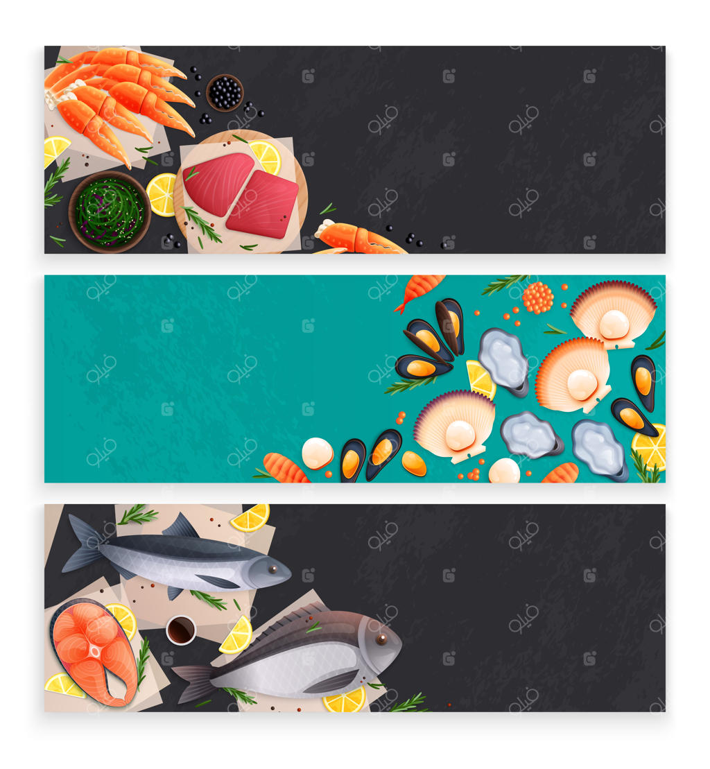 محصولات غذایی دریایی تازه و منجمد: ۳ بنر افقی با زمینه مشکی و سبز - شاه‌ماهی، سالمون، صدف و کلَم - تصویرسازی وکتور تخت