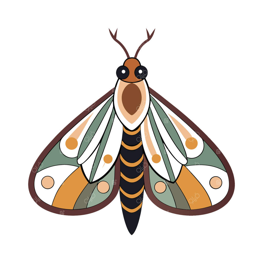 شاپرک دلربا در باغچه