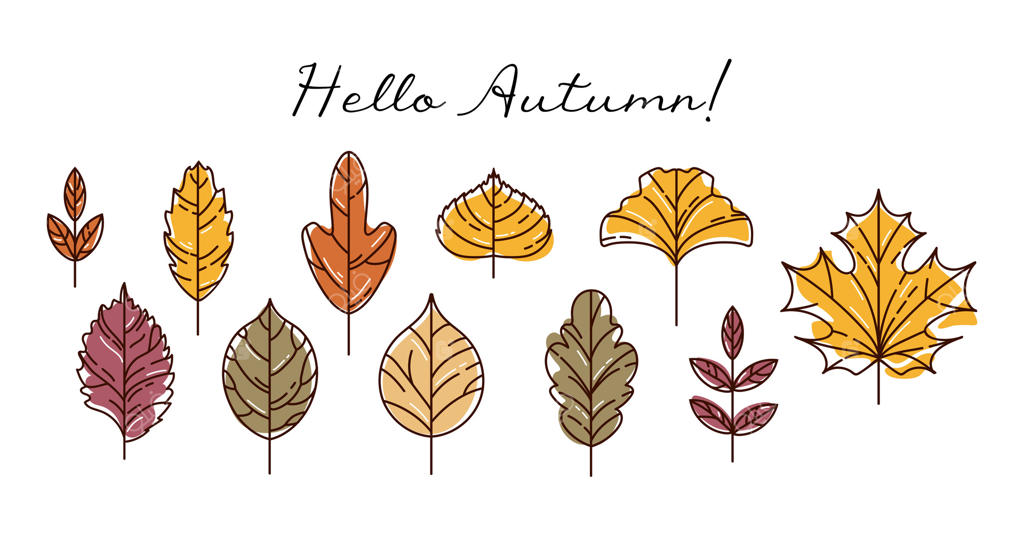 مجموعه آیکون‌های مدرن و رنگارنگ برگ‌های پاییزی. شامل افرا، بارانک، جینکو، کروتون، یاس خوشه‌ای، زیرفون، بلوط، نارون و صنوبر. با سبک طراحی دستی (اسکچ). مناسب برای استیکر، طراحی وب و کارت‌ پستال.