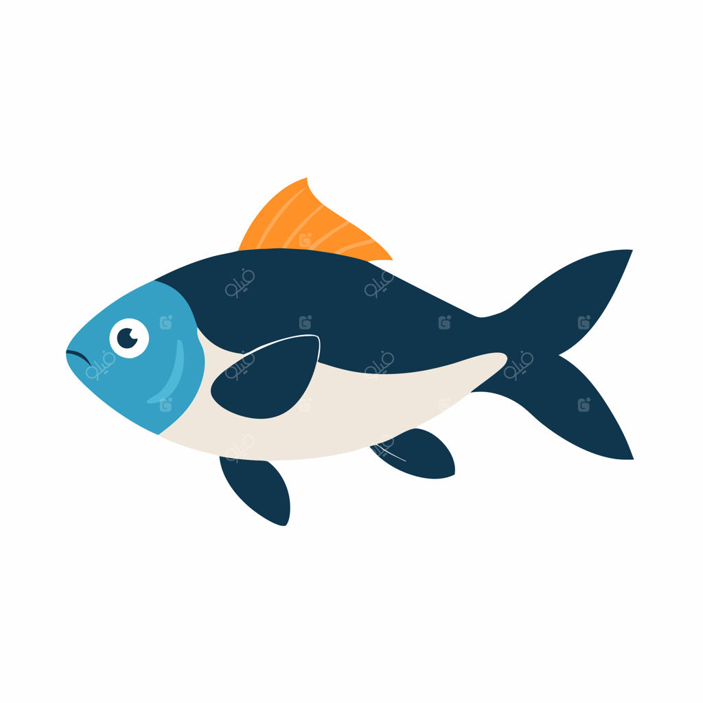 تصویرسازی وکتور ماهی دریایی
