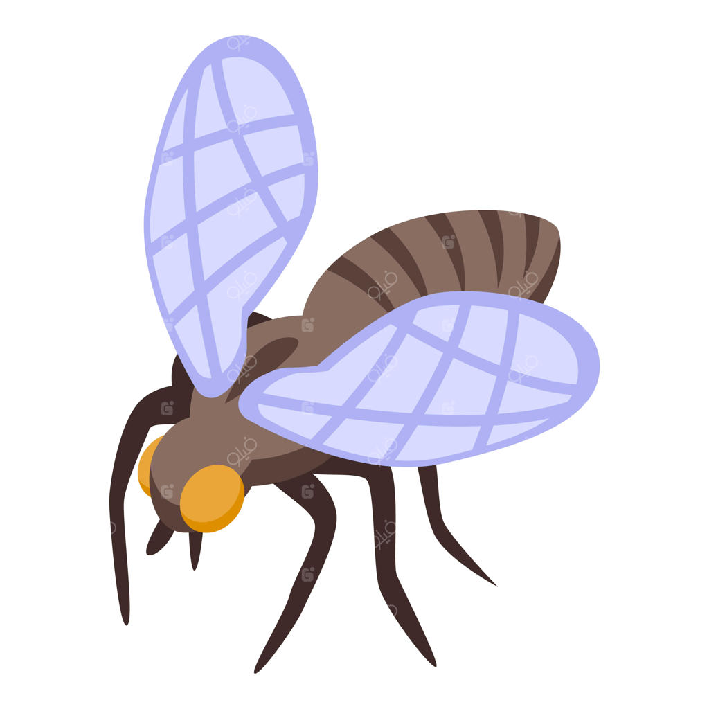 آیکون وکتور ایزومتریک مگس تسه، حشره تابستانی