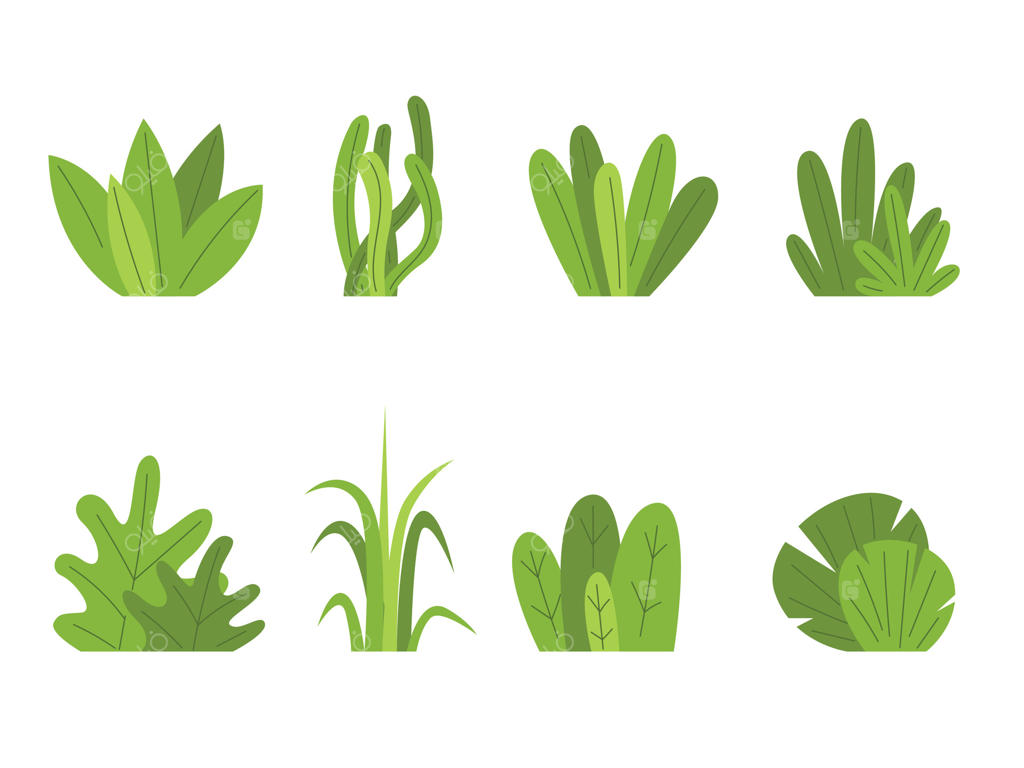 مجموعه‌ای از بوته‌ها و گیاهان باغی