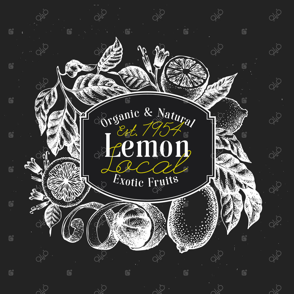 طرح لوگوی درخت لیمو.