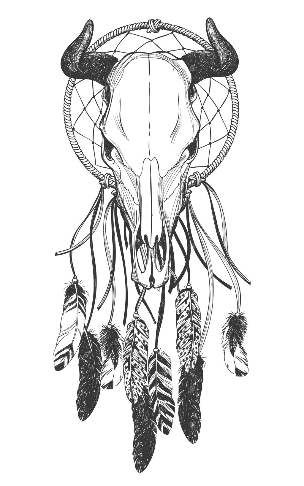 جمجمه گاو با پرها و آویز خواب‌گیر