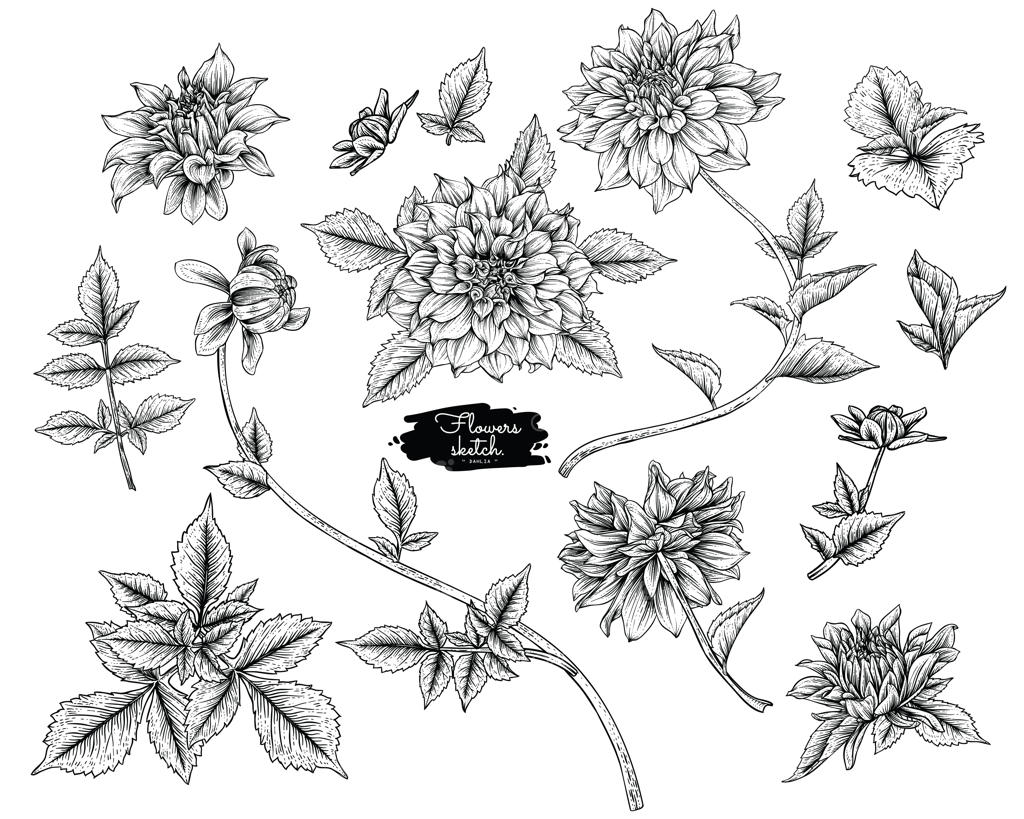 نقاشی‌های برگ و گل کوکب