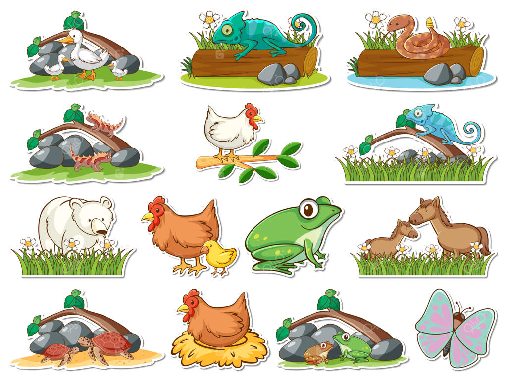 مجموعه برچسب حیوانات کارتونی جنگل