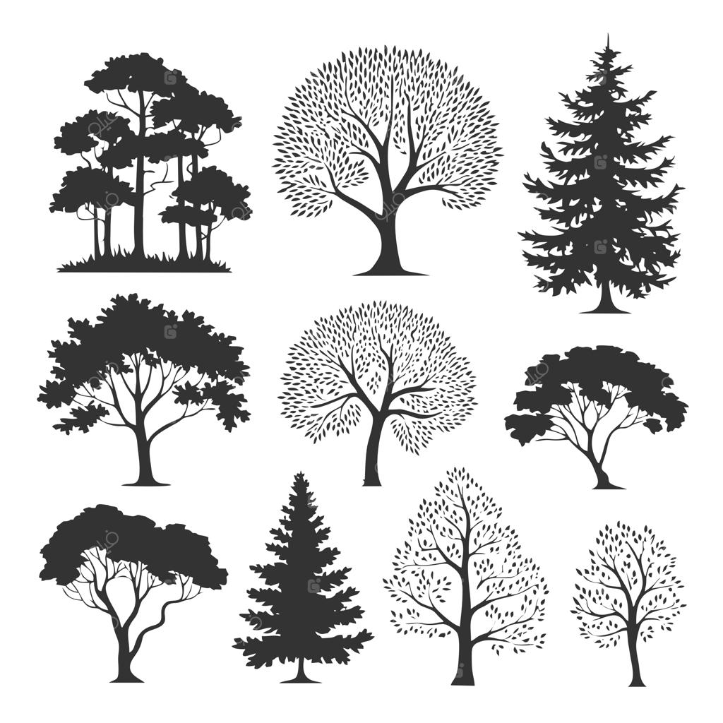 تصویرسازی سیاه و سفید درخت