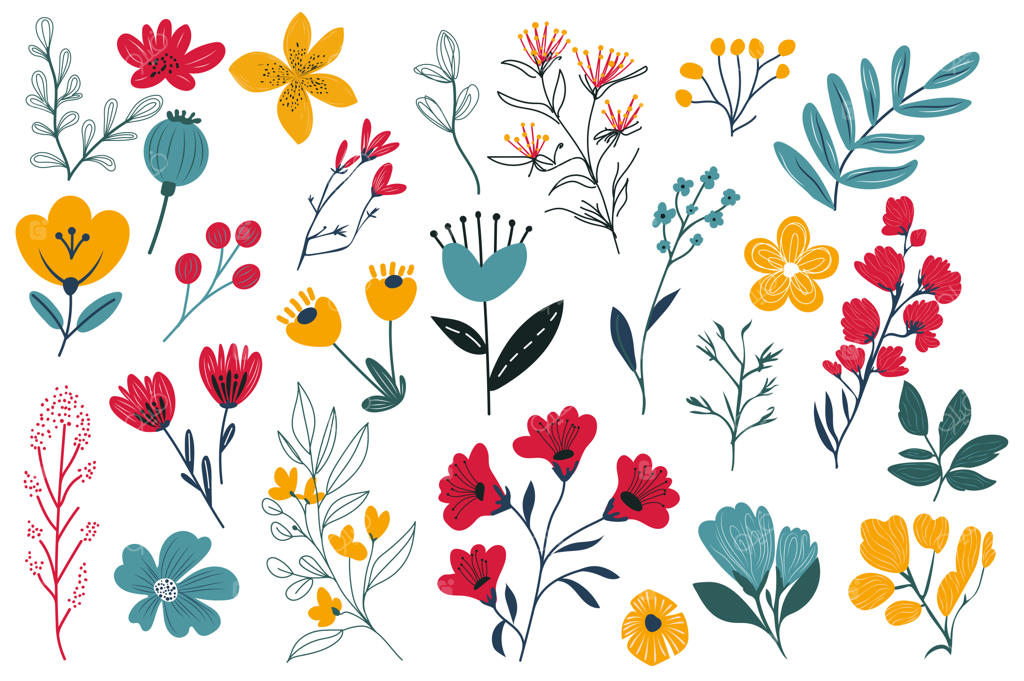 مجموعه وکتور گل‌های تابستانی با طراحی فلت؛ شامل عناصر جداگانه و رنگارنگ شقایق، مینا، رز و سایر گل‌های وحشی چمن‌زار به همراه برگ، شاخه و سبزه
