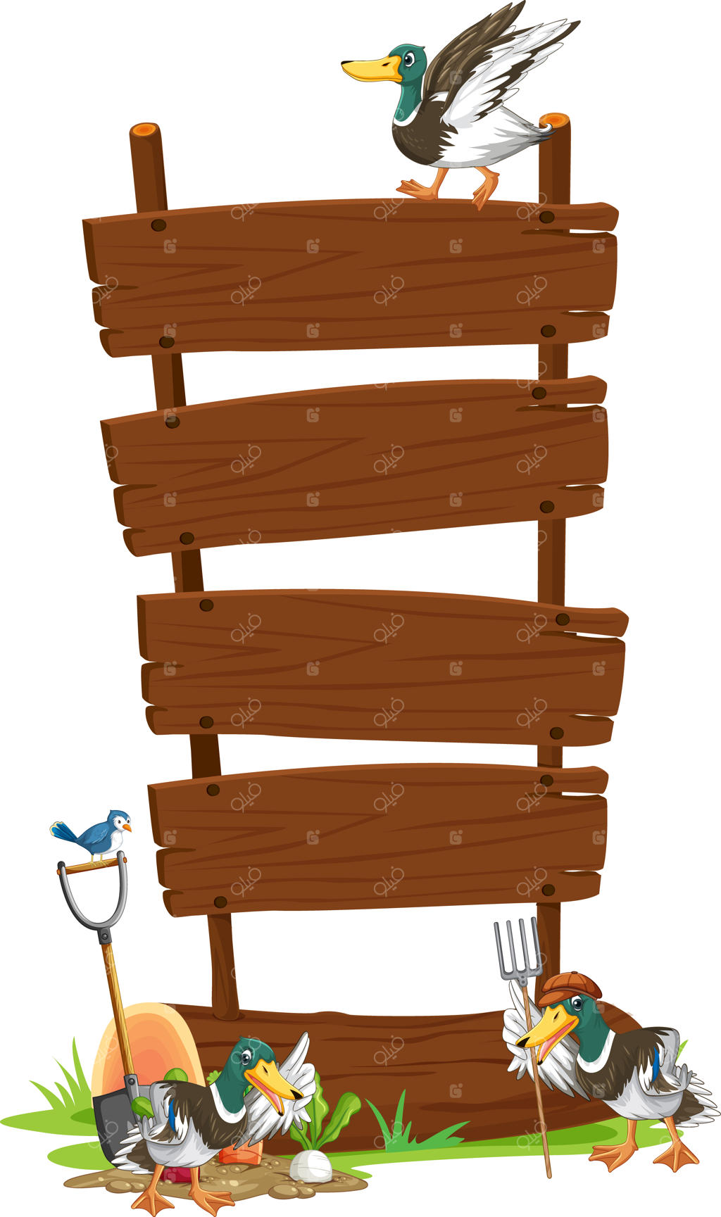 اردک‌های زیاد با تابلوی چوبی اعلان