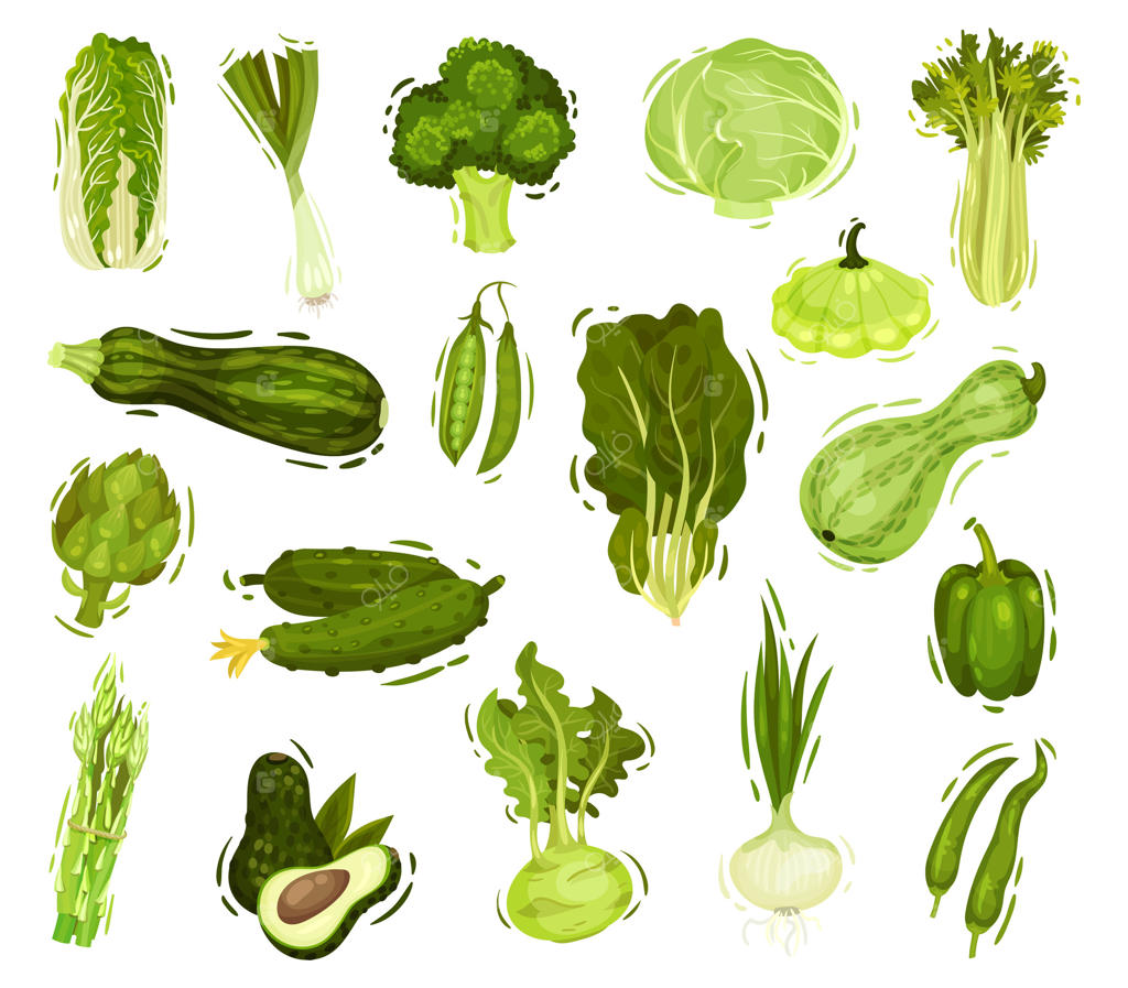 مجموعه وکتور حرفه‌ای سبزیجات سبز و سالم