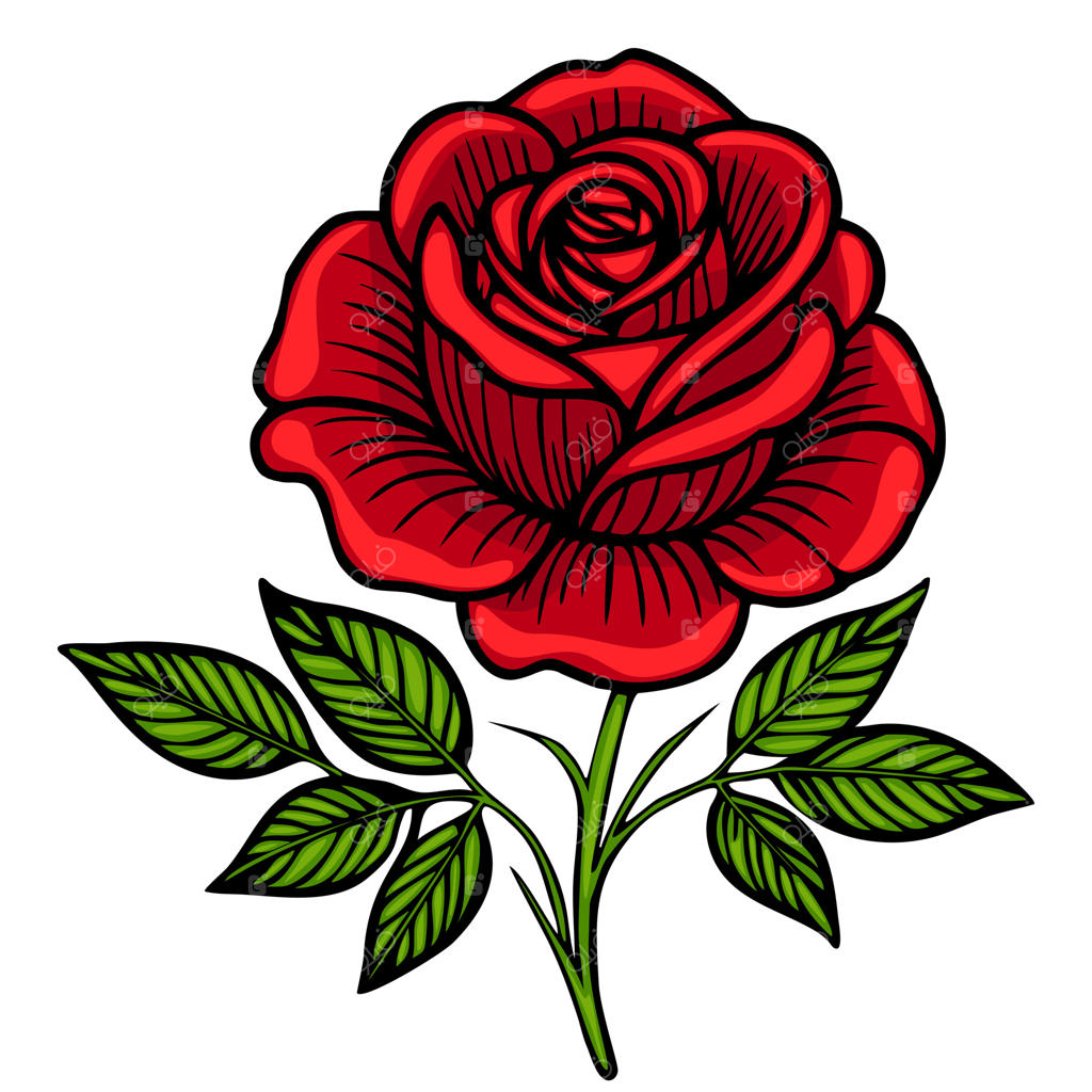 رز قرمز پرجنب‌وجوش با گلبرگ‌های دقیق و برگ‌های سبز، به سبک کلاسیک تاتو. این رز به‌خوبی در پس‌زمینهٔ سفید نمایش داده شده و زیبایی‌اش را برجسته می‌کند.