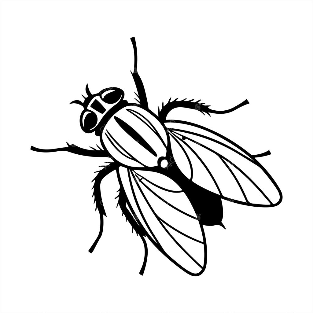 آیکون وکتور مگس خانگی در حال پرواز