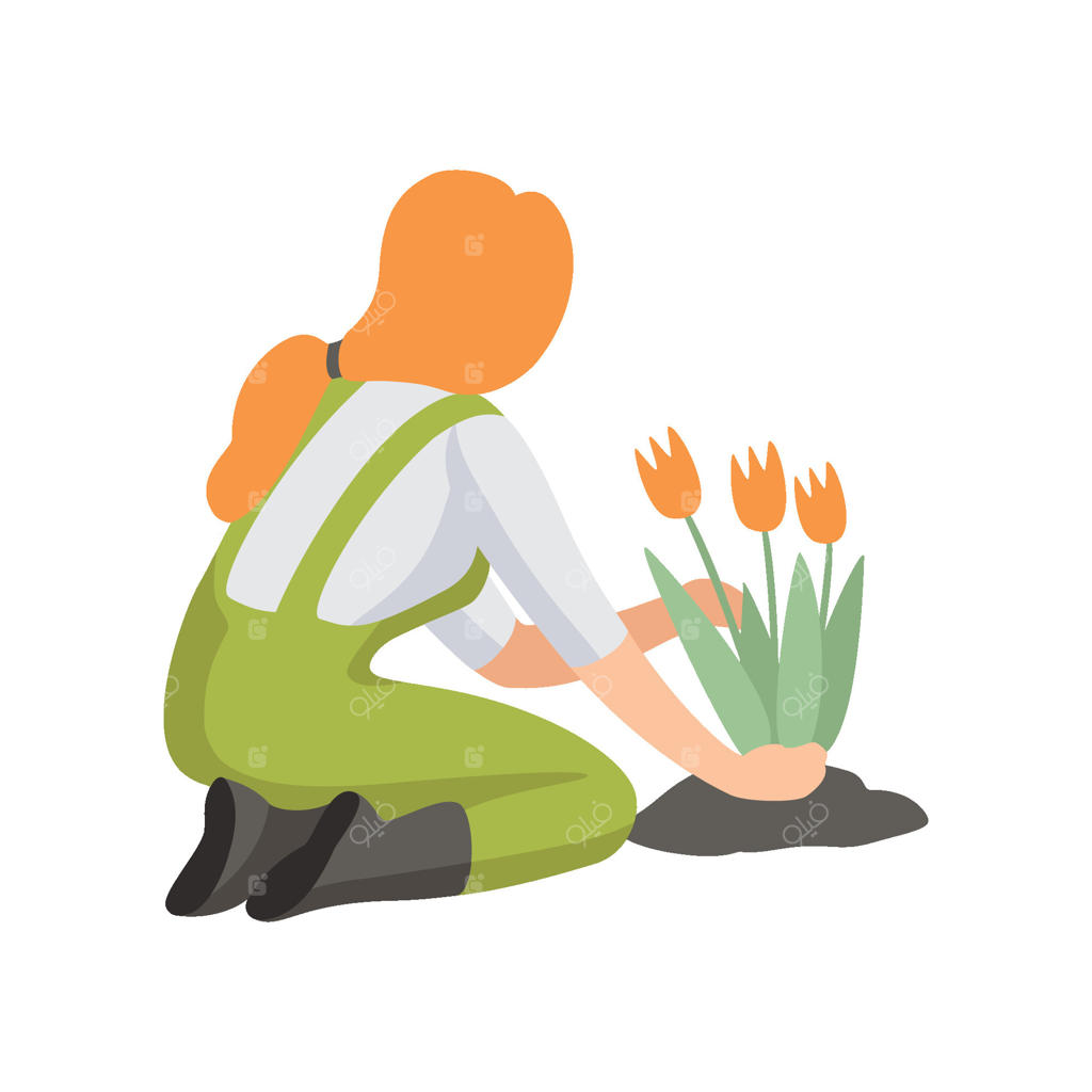 دختر در حال کاشت گل‌های لاله، افراد در حال کار در باغ (تصویرسازی)