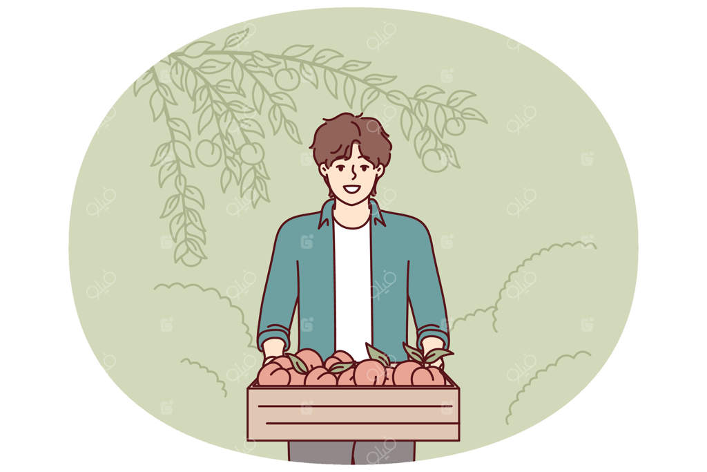 کشاورزی با جعبه چوبی هلو در باغ یا باغستان پس از برداشت میوه قرار دارد