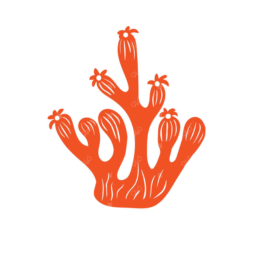 وکتور مرجان و جلبک دریایی با فرمت SVG