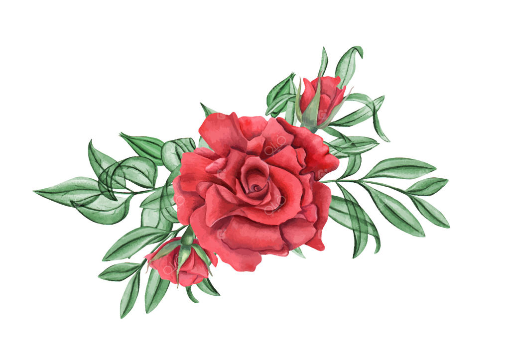 تصویر آبرنگ گل‌های رز قرمز و برگ‌های گرمسیری وحشی. گل‌های رز عمیق یاقوتی بهاری همراه با غنچه‌ها و اکالیپتوس. ترکیب گل‌ها برای دعوتنامه‌ها، کارت‌های تبریک و برچسب‌ها