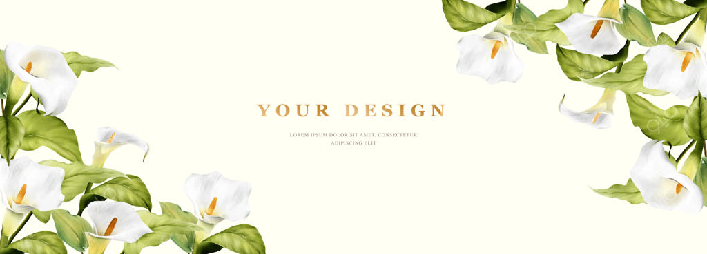 پترن بنر زیبای نیلوفر دست‌نقاشی‌شده