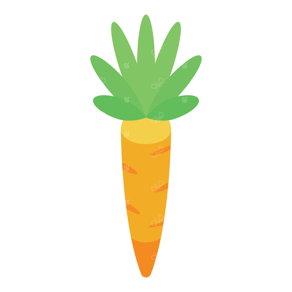 رشد هویج نارنجی تازه با برگ‌های سبز در باغچه