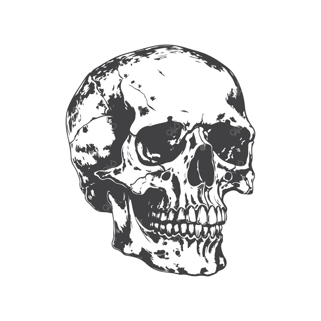 طراحی تک‌خطی دستی و وینتیج؛ مناسب برای لوگو، پوستر و پس‌زمینه