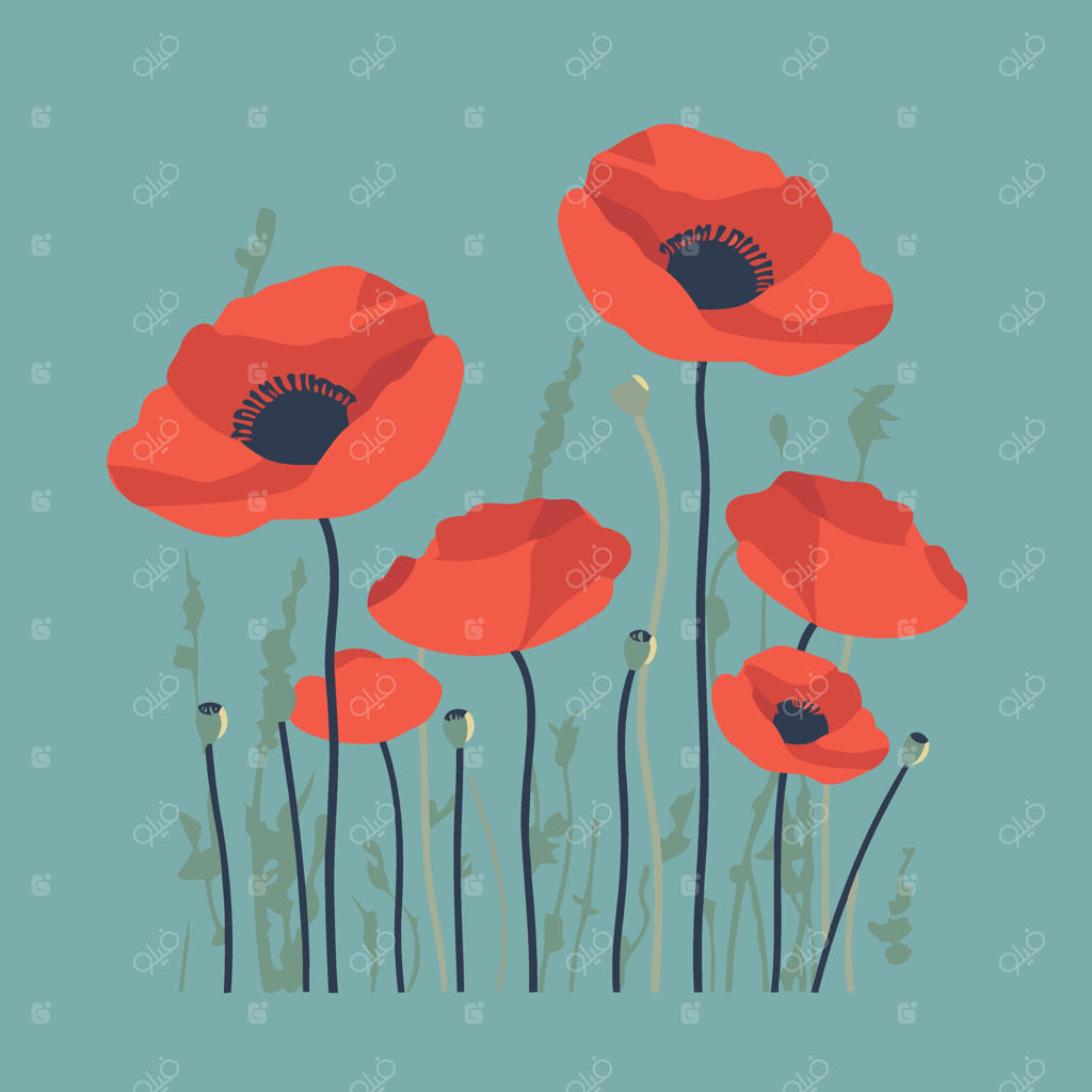 پس‌زمینه گل‌های شقایق قرمز