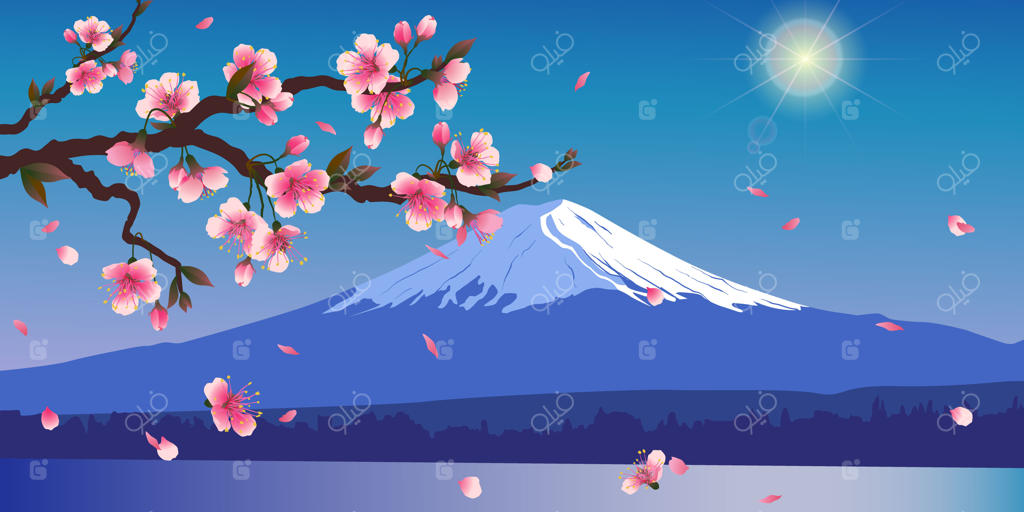 گلبرگ‌ها از شاخه درخت گیلاس می‌ریزند