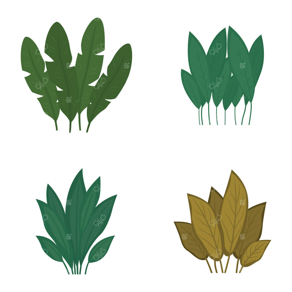 مجموعه‌ای از برگ‌های سبز و تازه طبیعت استوایی در باغ پارک