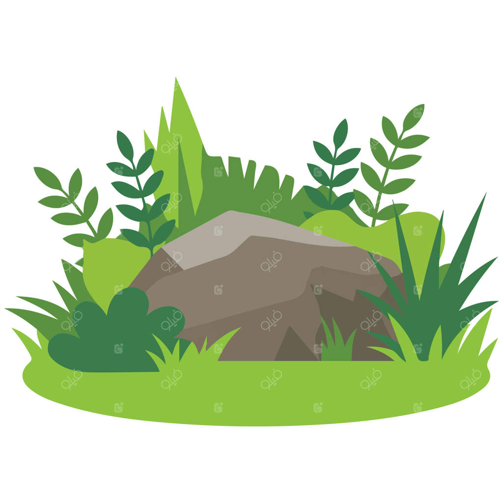 طراحی باغچه بوته‌ای - تصویر جدا شده بر روی زمینه سفید