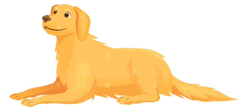 رتریور خوشحال دراز کشیده - کارتون خنده‌دار سگ طلایی