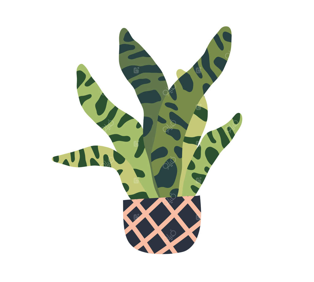 گلدان خانگی: گیاهان آپارتمانی، دکوری سبز با برگ‌های جنگلی برای محیط داخلی اداره یا خانه