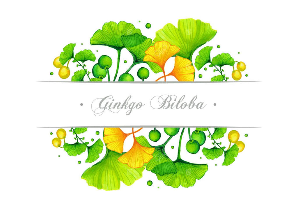 طراحی وکتور بنر جینکو