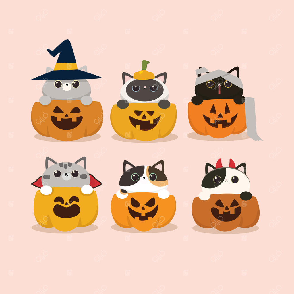 ست بامزه طراحی تخت: گربه و کدو تنبل هالووین