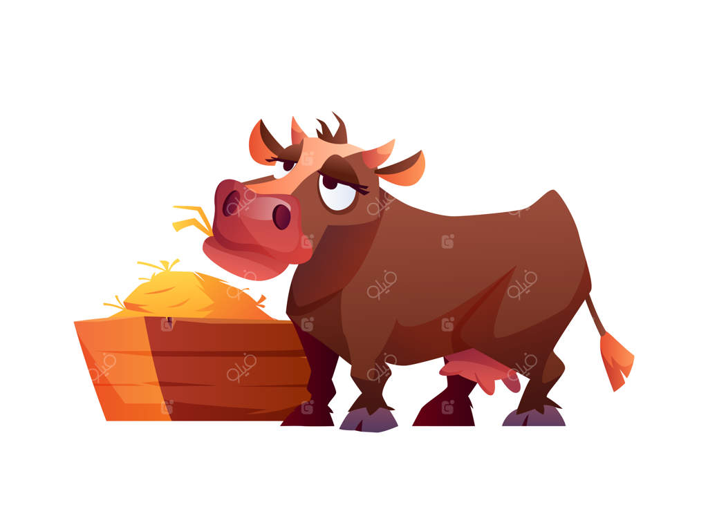 کارتون گاو در حال خوردن علف - تصویرسازی وکتور از حیوان مزرعه روی زمینه سفید