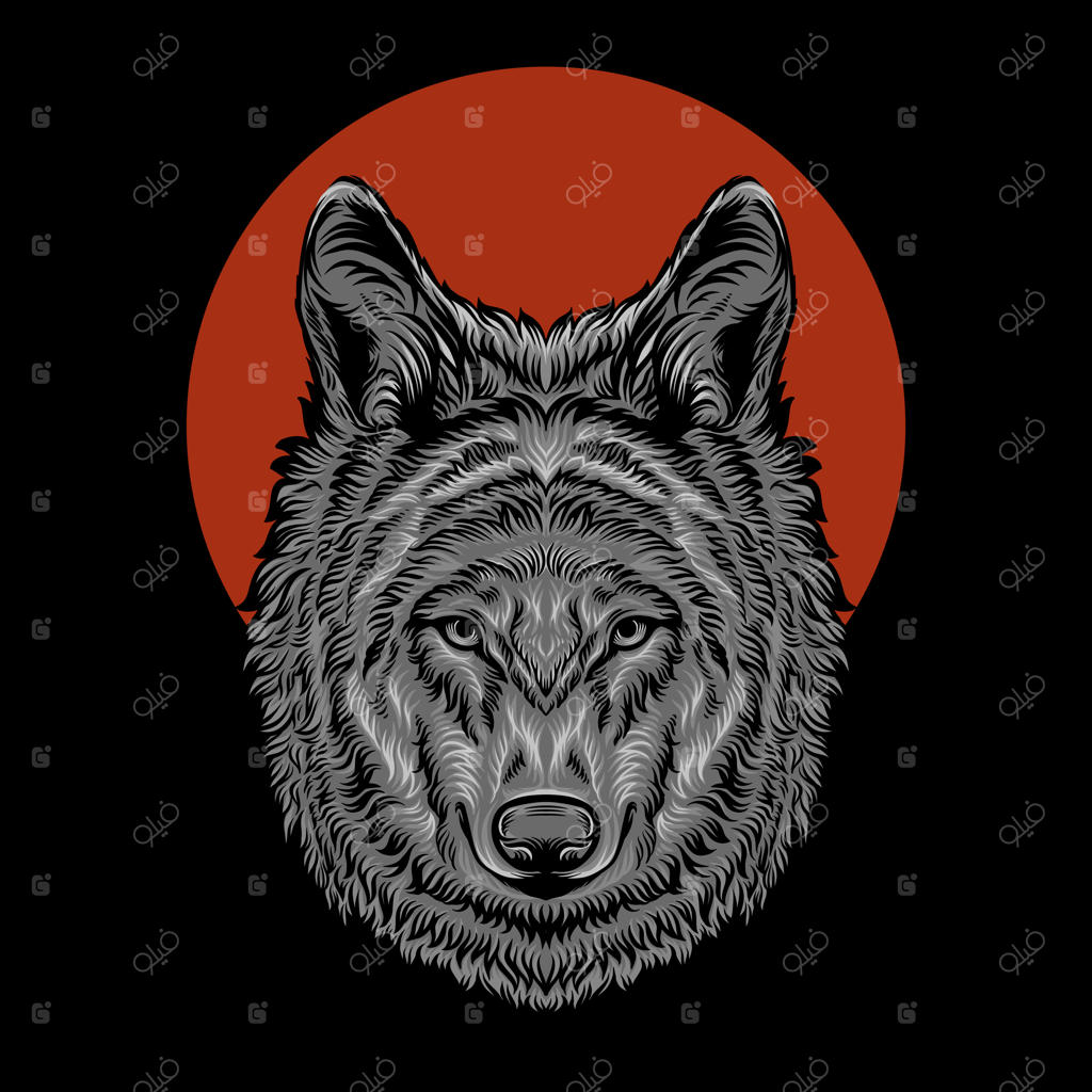 تصویر نقاشی سر گرگ