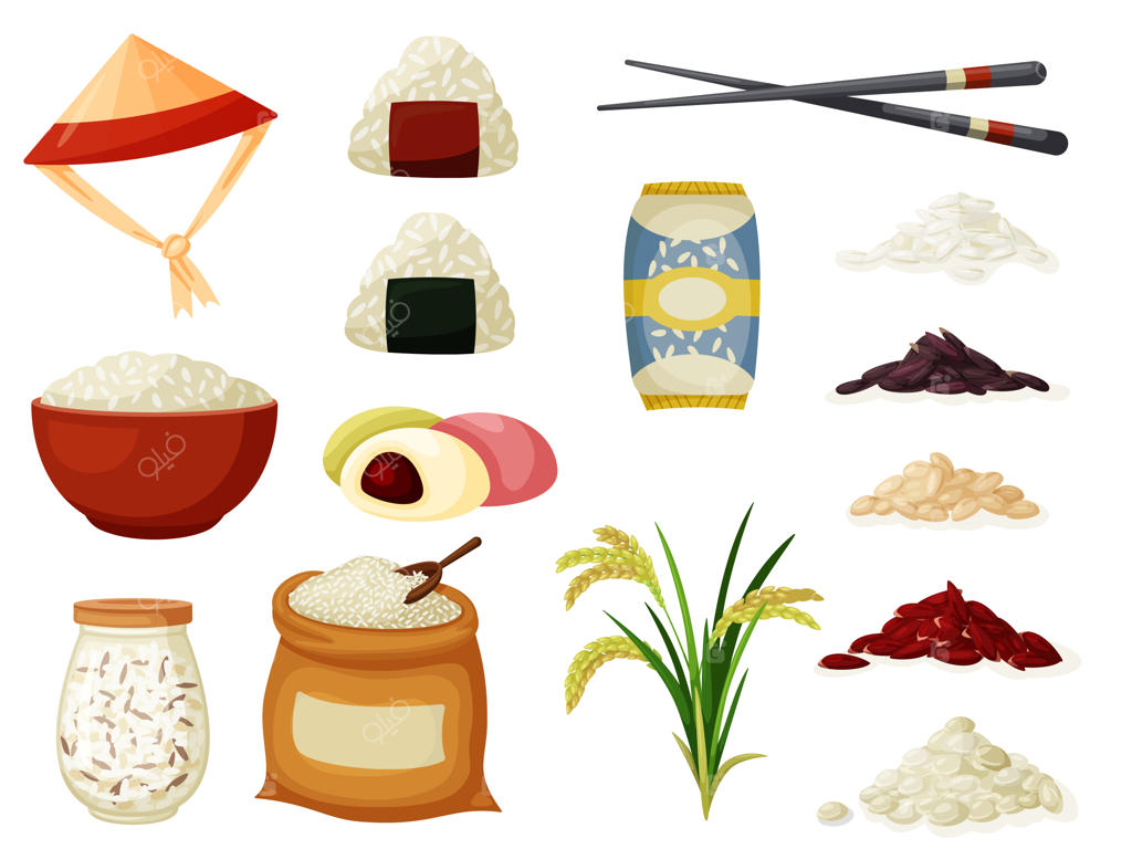 تصویرسازی خوشه برنج