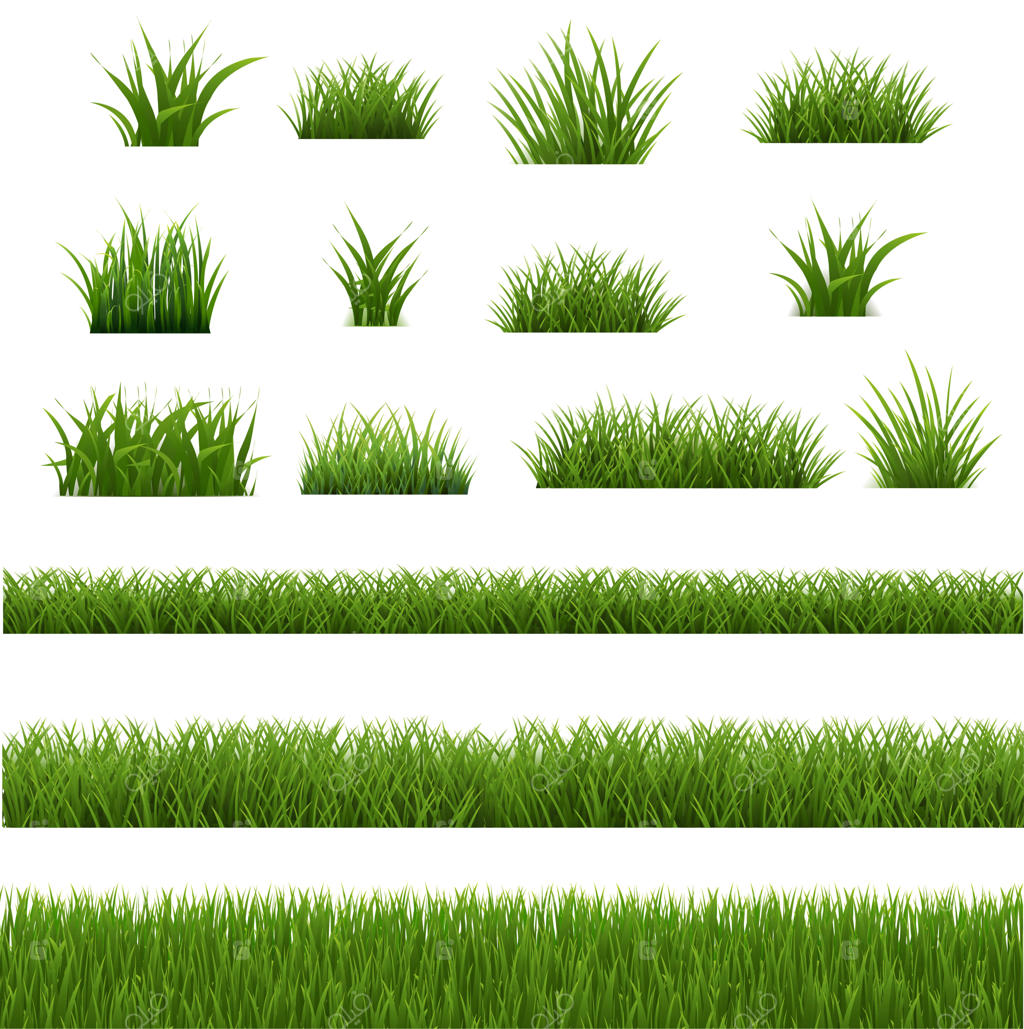 قاب چمنی با پس‌زمینه سفید