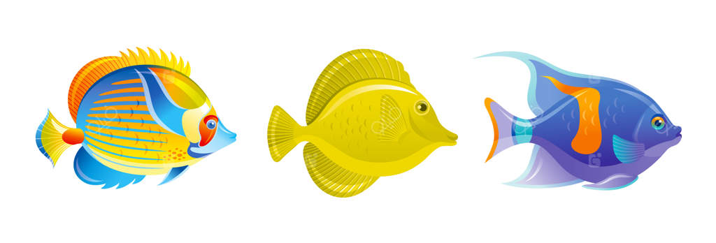 مجموعه ماهی‌های استوایی: آیکون‌های آکواریوم یا دریایی به صورت وکتور. حیوانات زیر آب صخره‌های مرجانی. مجموعه‌ی حیات اقیانوسی مجزا.