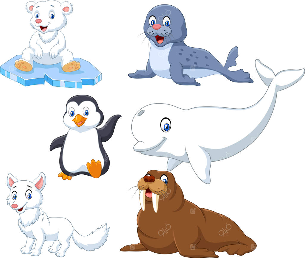 مجموعه حیوانات قطبی