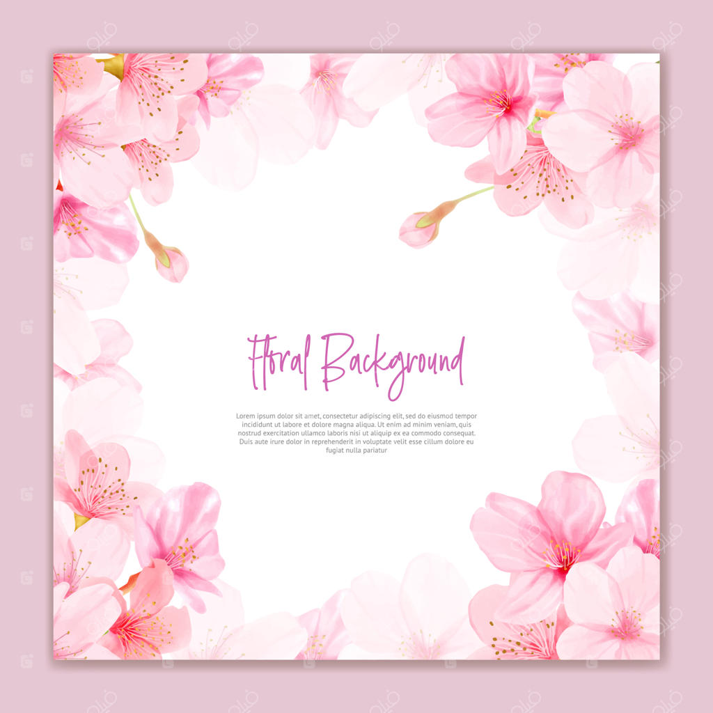 پس‌زمینه‌ای زیبا با شکوفه‌های گیلاس