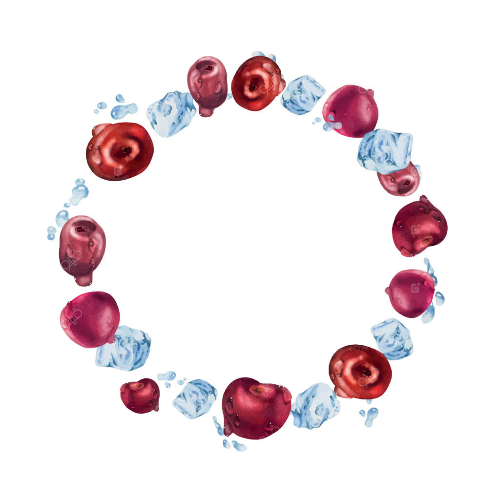 گیلاس های ترش و شیرین در قطرات آب و مکعب های یخ: طراحی دستی با آبرنگ، توت فرنگی قرمز و رسیده باغ. طراحی حلقه‌ای به شکل تاج گل. منوی رستوران و کافه، بازار کشاورزان، عروسی.