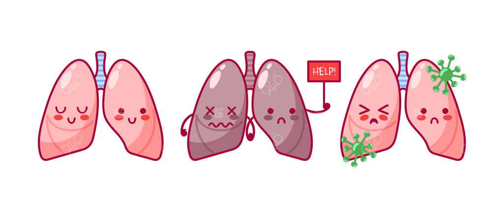 مجموعه شخصیت‌های کارتونی و بامزه ریه به سبک کاوایی. شامل طرح‌های ریه سالم، ریه افراد سیگاری، بیماری‌های ویروسی و دستگاه تنفسی. تصویرسازی با موضوع مشکلات سلامتی و قالب بروشور پزشکی.