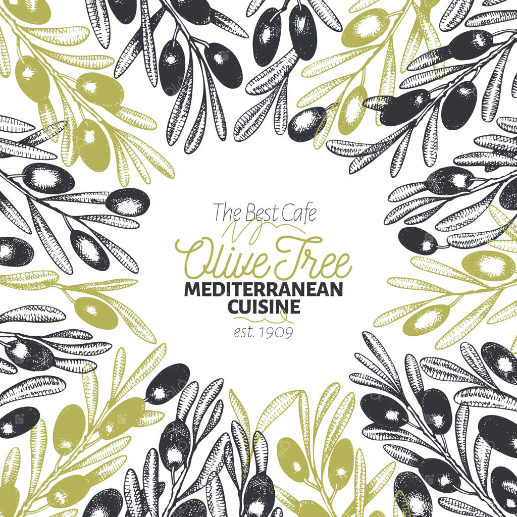 پترن بنر درخت زیتون: تصویرسازی رترو وکتور.