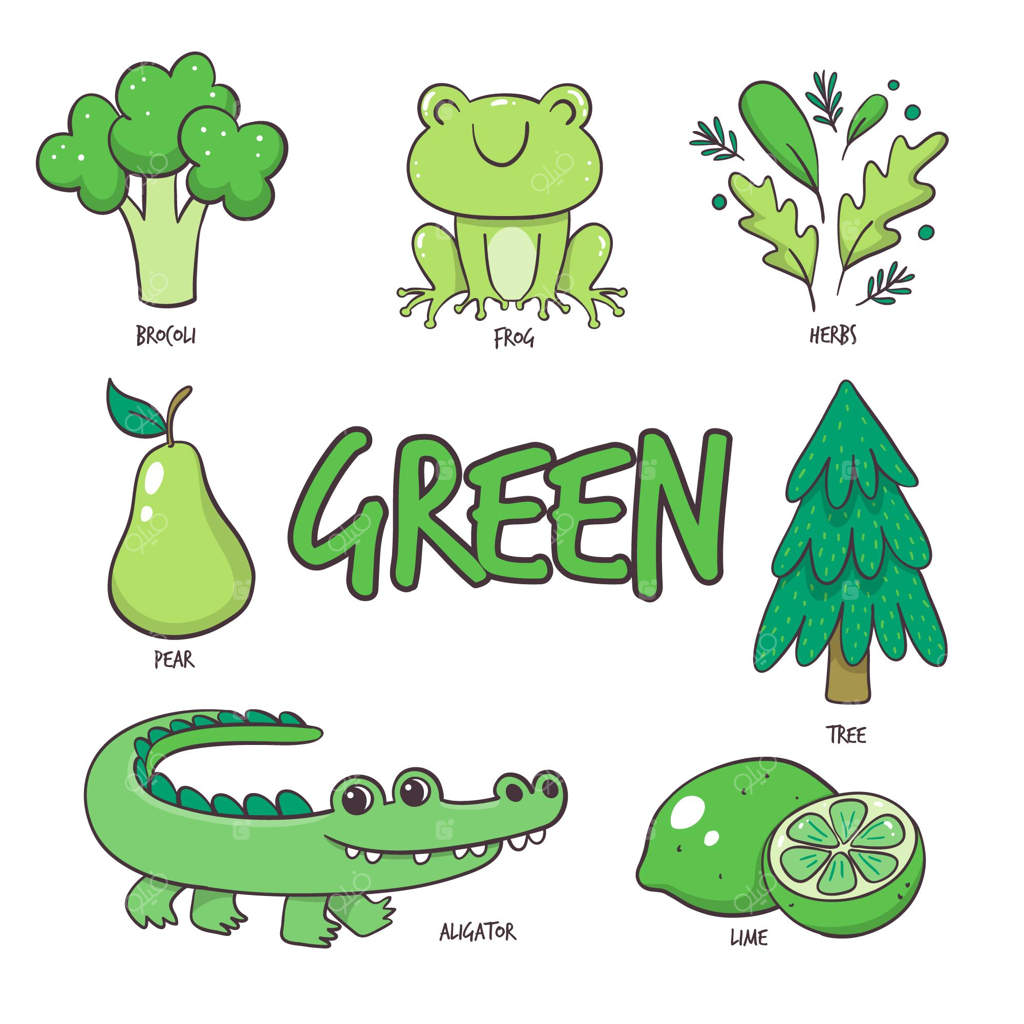 رنگ سبز و بسته واژگان به زبان انگلیسی